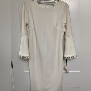 Calvin Klein Dress in Ivory with 3/4 length sleeves. Perfect dress! Size 4P